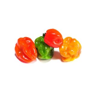 Chile Habanero