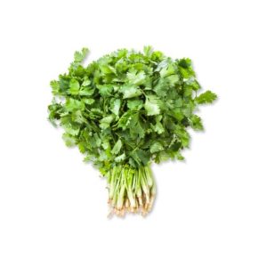 Cilantro
