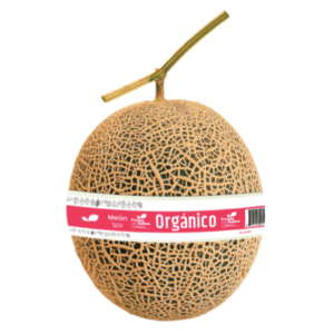 Melón