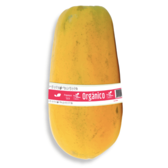 Papaya