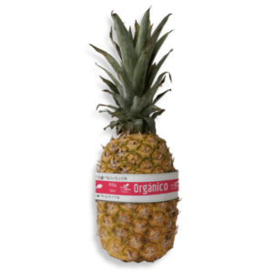 Piña